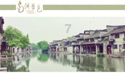 植物大战僵尸15